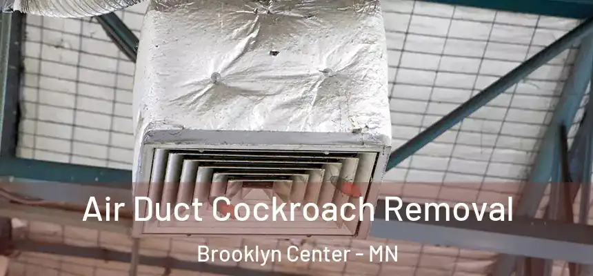  Air Duct Cockroach Removal Brooklyn Center - MN