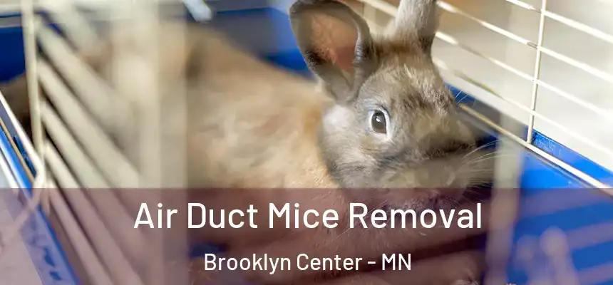  Air Duct Mice Removal Brooklyn Center - MN