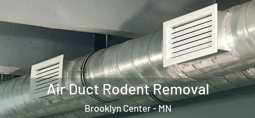  Air Duct Rodent Removal Brooklyn Center - MN