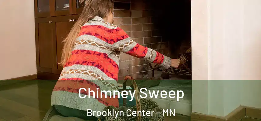  Chimney Sweep Brooklyn Center - MN
