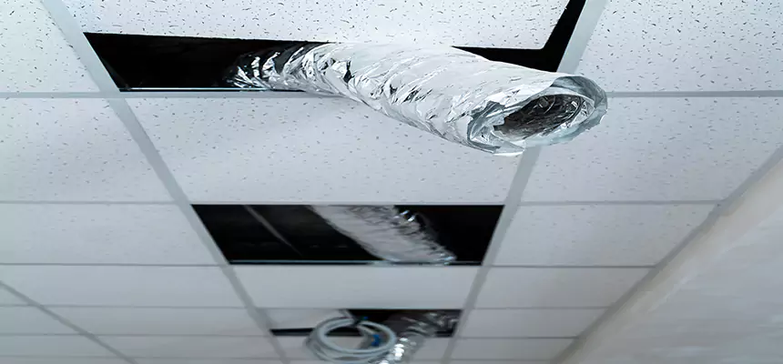 Affordable HVAC Sanitizing After Pest Removal in Brooklyn Center