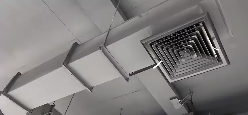 Our Pest Removal From Ducts Services in Brooklyn Center, MN