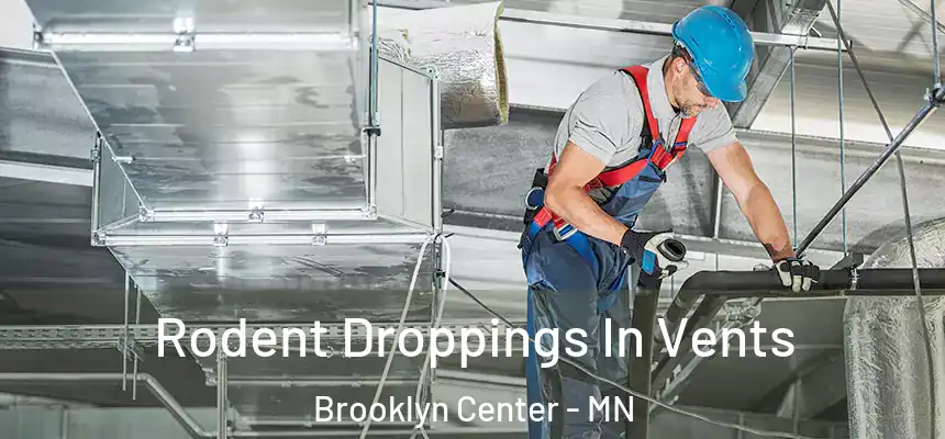  Rodent Droppings In Vents Brooklyn Center - MN