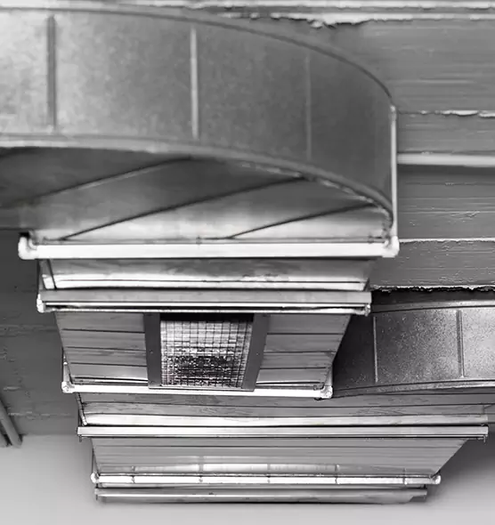 Professional Air Duct Pest Removal in Brooklyn Center, MN