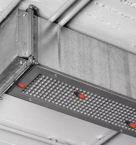 Affordable Insect Removal from Air Ducts in Brooklyn Center, MN