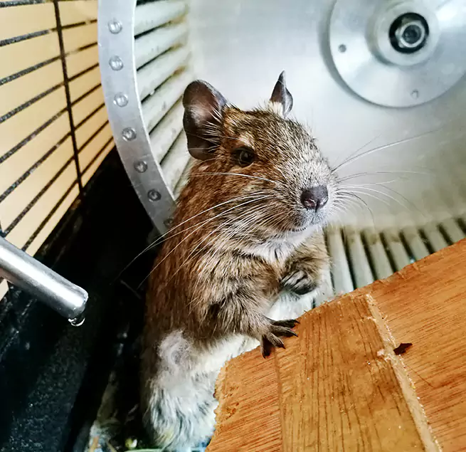 Why Homeowners & Businesses Trust Us Brooklyn Center, MN